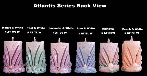 Atlantis Close up Back.JPG (22596 bytes)