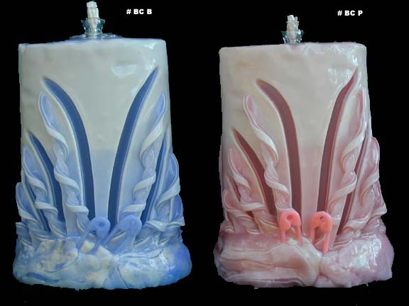 BvBaby.JPG (32207 bytes)